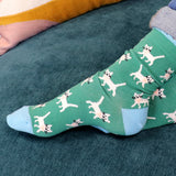 Close up of Ladies Green and Blue mix cat themed triple sock boxed set